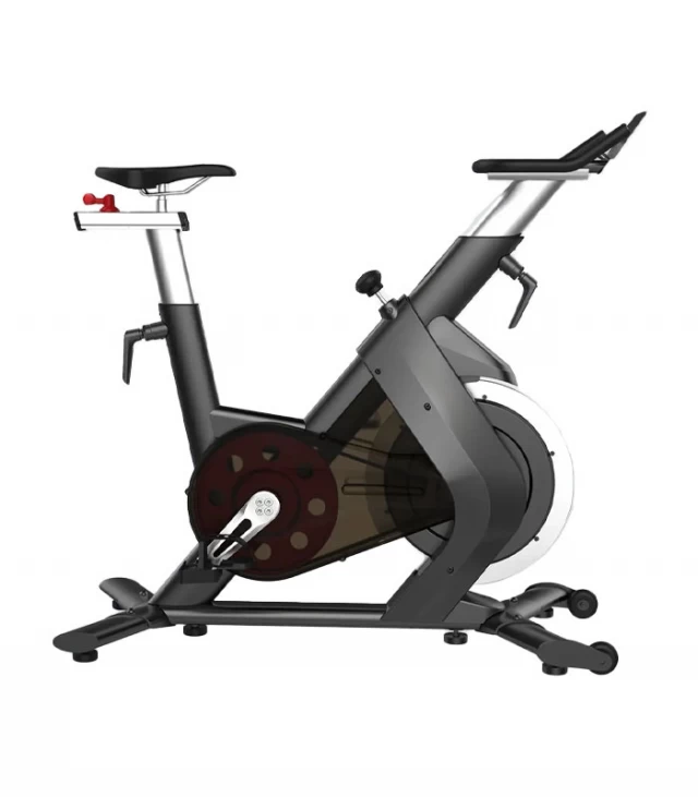 Indoor Cycling Bike-S210