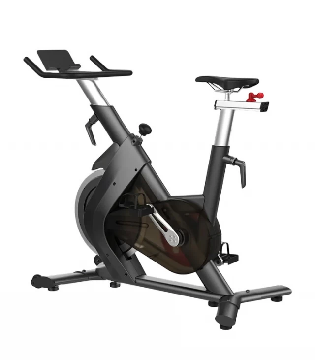 Indoor Cycling Bike-S210