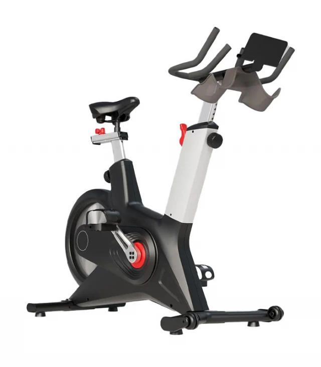 Indoor Cycling Bike-S300A