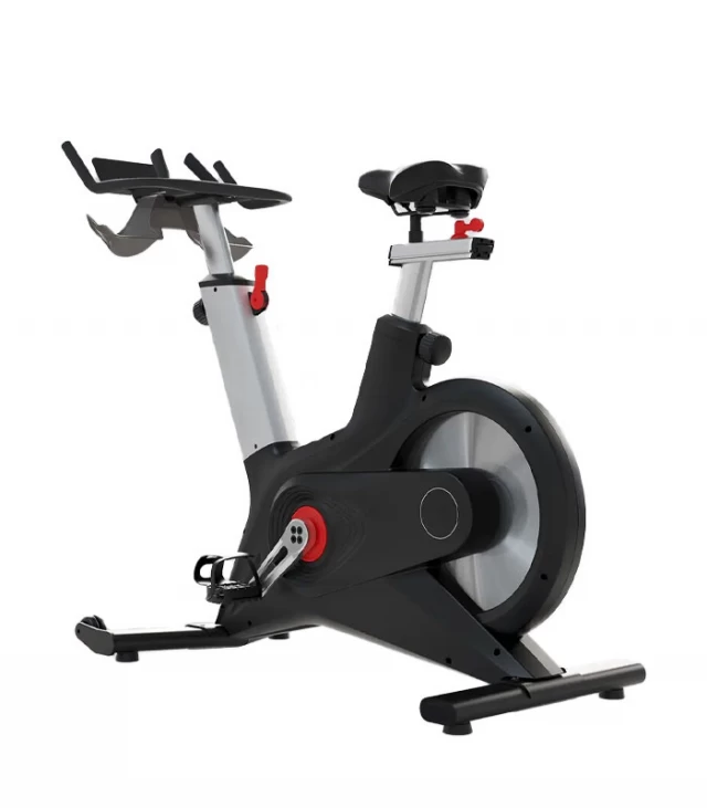 Indoor Cycling Bike-S300A